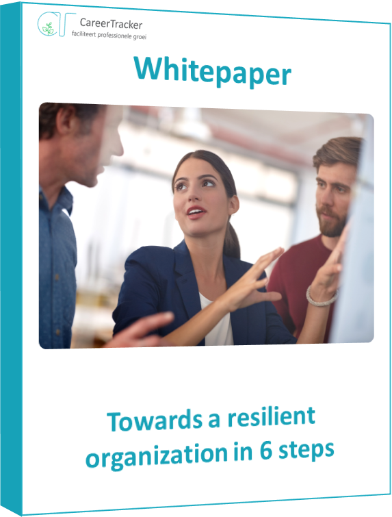 Whitepaper:6 steps for a resilient organization 