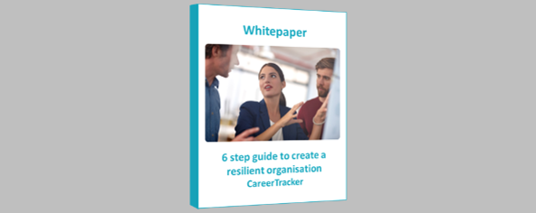 Whitepaper: 6 steps for a resilient organization